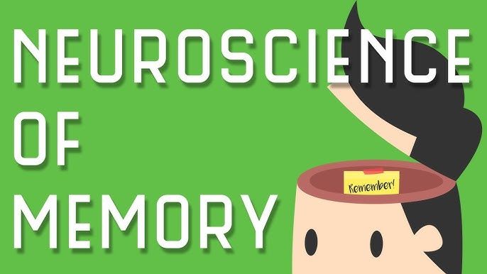 What Is The Genius Switch?