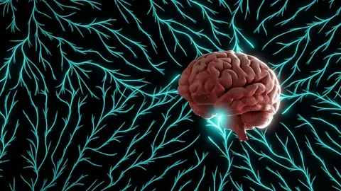 BrainSongX sound based brain stimulation for focus, relaxation and mental clarity