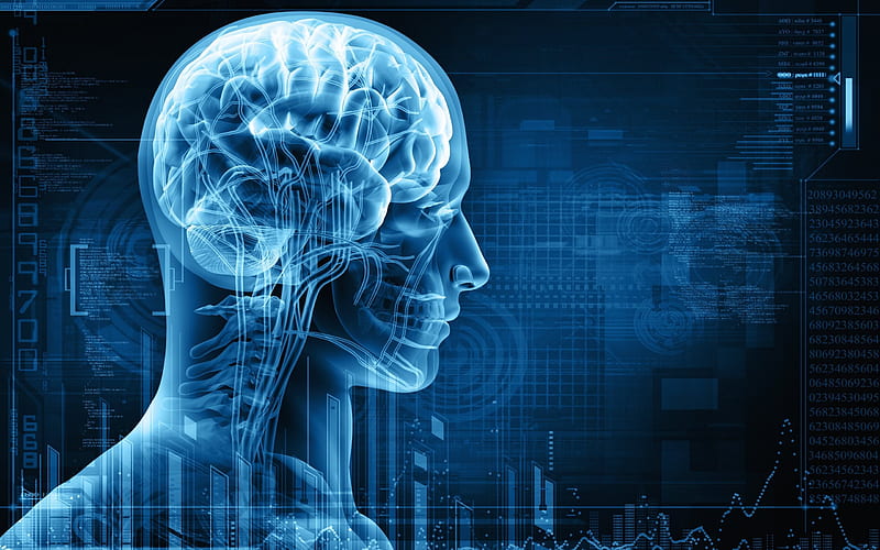 BrainSongX audio brain training is an audio-based program designed to support focus and relaxation.